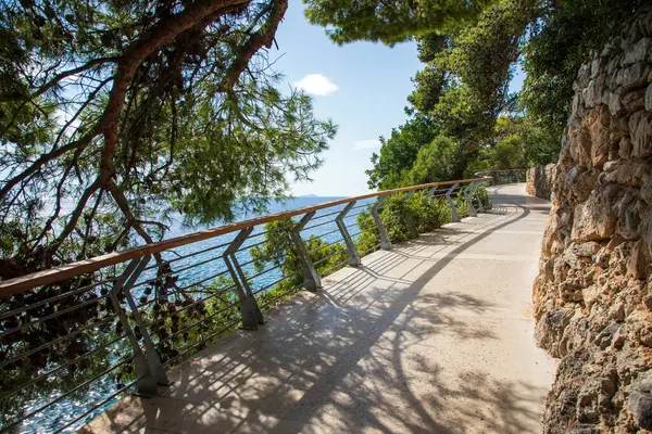 Promenade Sea Dubrovnik Area Lapad — Stock Photo, Image