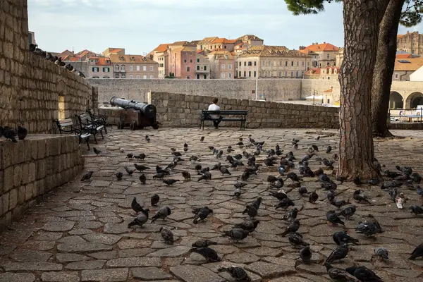 Dubrovnik Croácia Setembro 2023 Vista Cidade Velha Pela Manhã — Fotografia de Stock