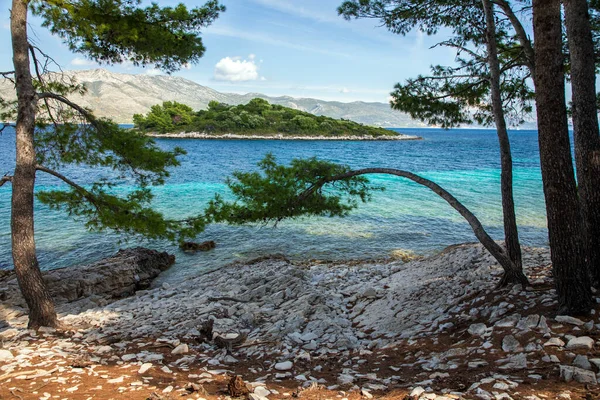 Ilha Badija Largo Costa Ilha Korcula Costa Dálmata Croácia — Fotografia de Stock