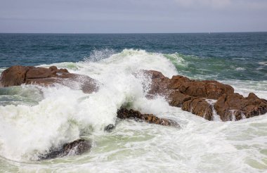 Dramatic waves breaking on the rocks on the coast of Portugal in Foz, Porto clipart