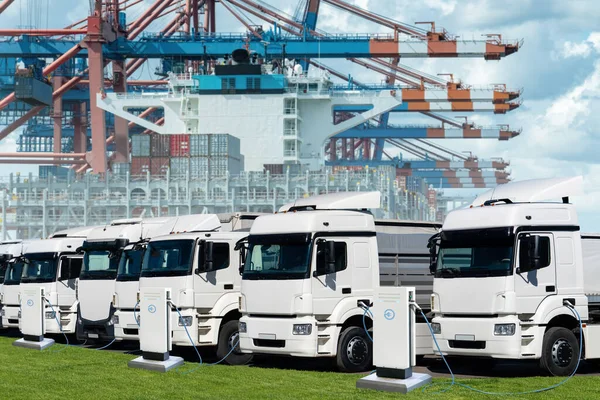 Electric trucks in the international seaport against on a background of a ship loaded with containers.
