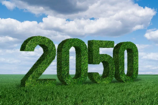 Numbers 2050 Grass Symbol Sustainable Development Full Transition Renewable Energy — Stock Photo, Image