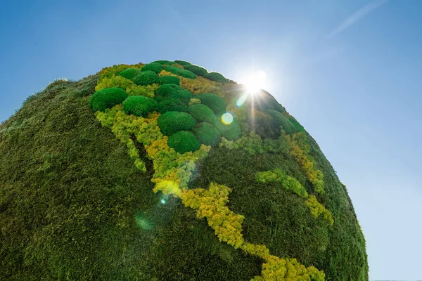 Groene Planeet Aarde Van Natuurlijk Mos Symbool Van Duurzame Ontwikkeling — Stockfoto