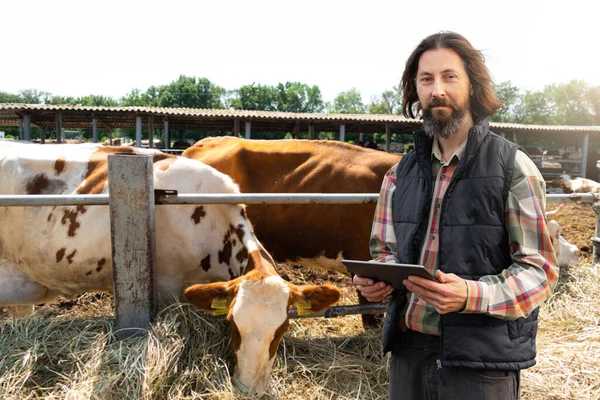 Agricultor Com Tablet Digital Uma Fazenda Vacas Conceito Gestão Efectivos — Fotografia de Stock