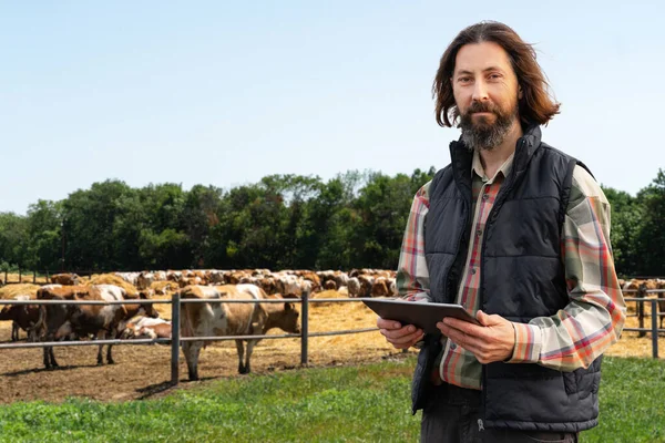 Agricultor Com Tablet Digital Uma Fazenda Vacas Conceito Gestão Efectivos — Fotografia de Stock