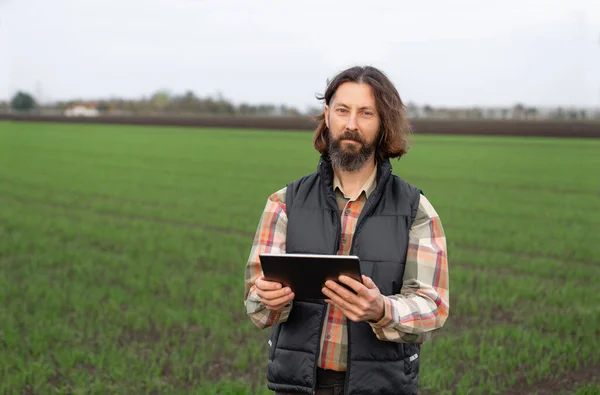 Boer Met Digitale Tablet Jonge Tarweveld Slimme Landbouw Digitale Landbouw — Stockfoto