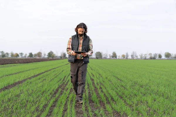 Agricultor Con Tableta Digital Campo Trigo Joven Agricultura Inteligente Agricultura — Foto de Stock