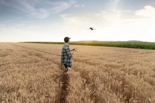 Farmer Controla Dron Agricultura Inteligente Agricultura Precisión —  Fotos de Stock