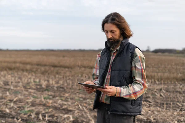Jordbrukare Med Digital Tablett Unga Vetefält Smart Jordbruk Och Digitalt — Stockfoto