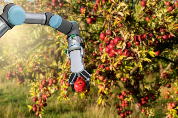 Braccio Robot Lavora Nella Fattoria Intelligente Trasformazione Digitale Dell Agricoltura — Foto Stock
