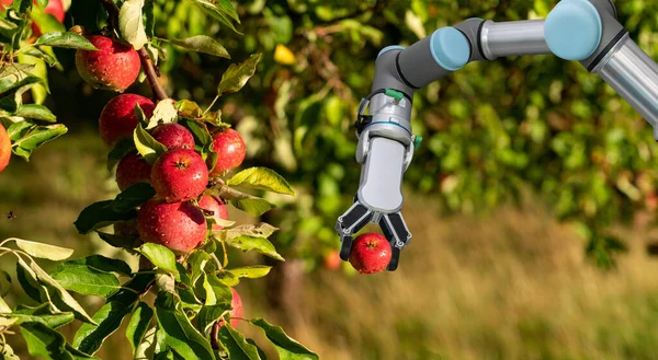 Braço Robô Está Trabalhando Fazenda Inteligente Transformação Digital Agricultura — Fotografia de Stock