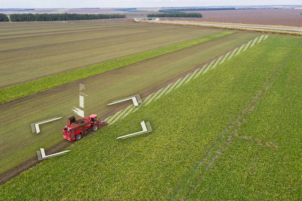 Raccoglitore Autonomo Sul Campo Barbabietole Zucchero Trasformazione Digitale Agricoltura — Foto Stock