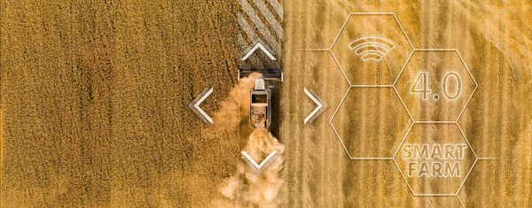 Raccoglitore Autonomo Sul Campo Trasformazione Digitale Agricoltura — Foto Stock