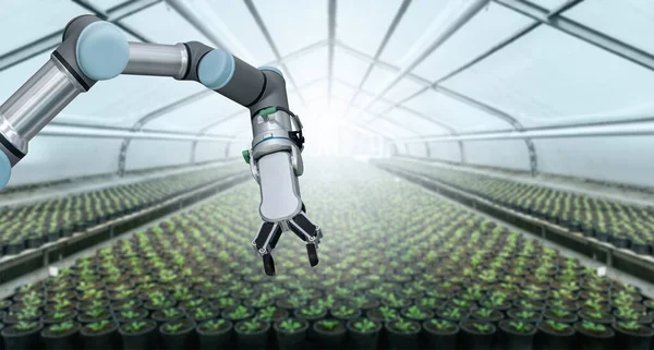 Robot Arm Working Greenhouse Smart Farming Digital Agriculture — Stock Photo, Image