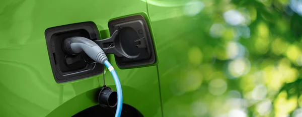 Nahaufnahme Einer Steckdose Für Elektroautos Mit Angeschlossenem Ladekabel Auf Grünem — Stockfoto