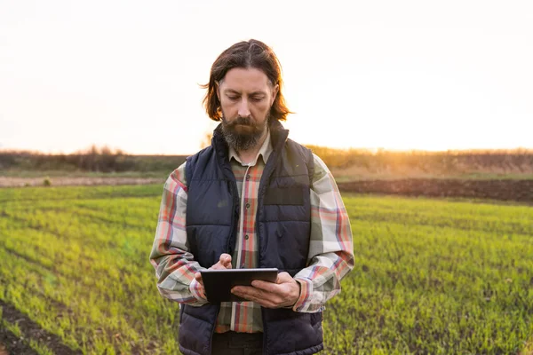 Farmer with digital tablet on a field. Smart farming and digital agriculture