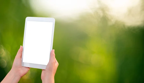 Digital tablet in hands on a green background
