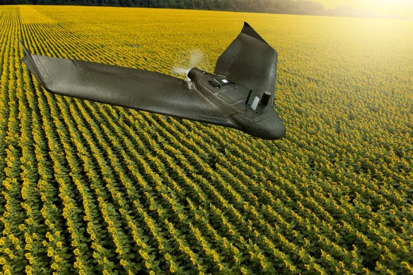 Drone Leci Nad Gruntami Rolniczymi Inteligentne Rolnictwo — Zdjęcie stockowe
