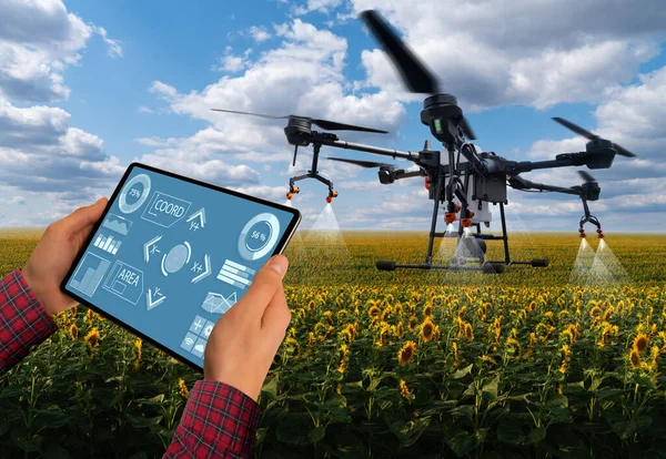 Farmer Controlla Spruzzatore Drone Con Tablet Agricoltura Intelligente Agricoltura Precisione — Foto Stock