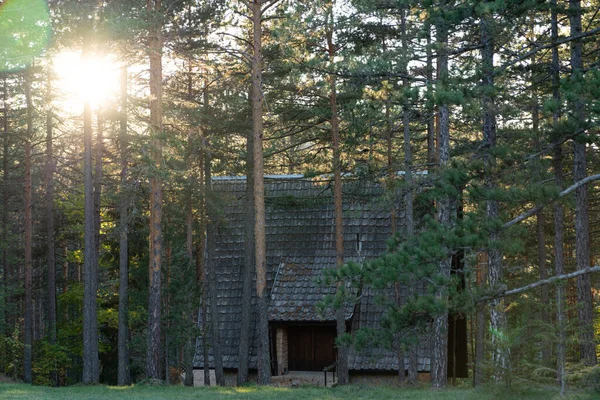 Wooden House Pine Forest Sunset — Stockfoto