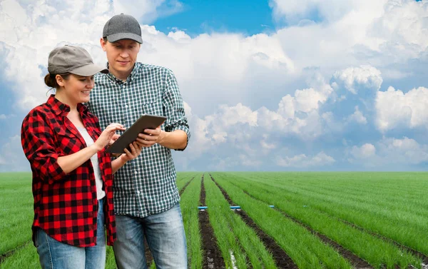 Couple of farmers with digital tablet on a field. Smart farming and digital agriculture