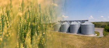 Collage of field and agricultural silos, grain elevator for storage and drying of cereals clipart