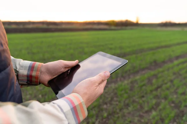 Farmer with digital tablet on an agricultural field. Close up. Smart farming and digital agriculture
