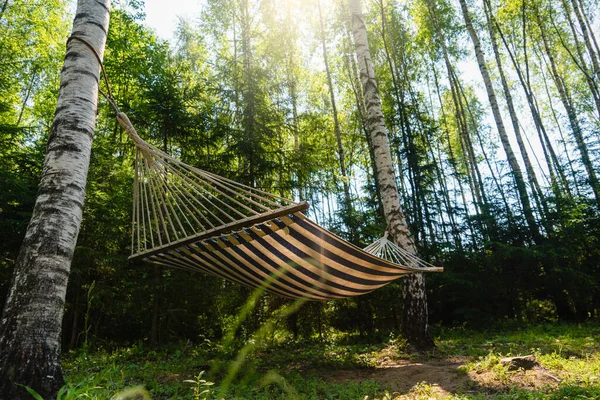 夏天森林里的吊床 — 图库照片