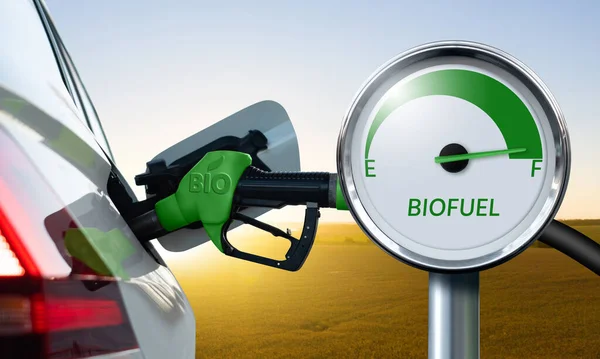 Tankning Bilen Med Biobränsle — Stockfoto
