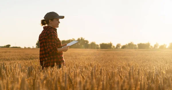 Woman Farmer Tablet Wheat Field Sunset — Stock Photo, Image