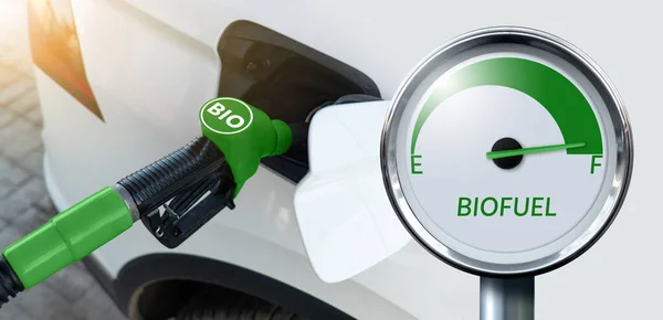 Carbon neutral bio fuel decarbonization concept