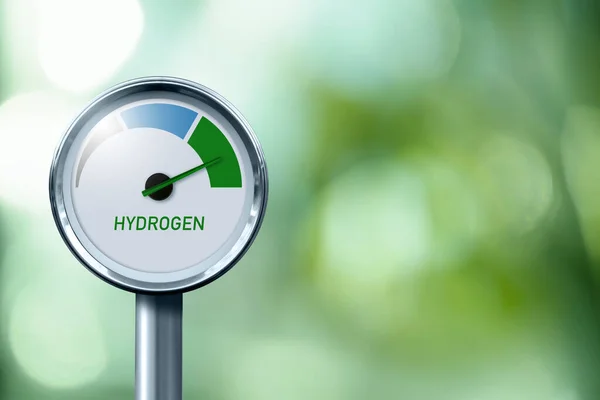 Hydrogen Gauge Tree Colors Gray Blue Green Green Hydrogen Production — Stockfoto