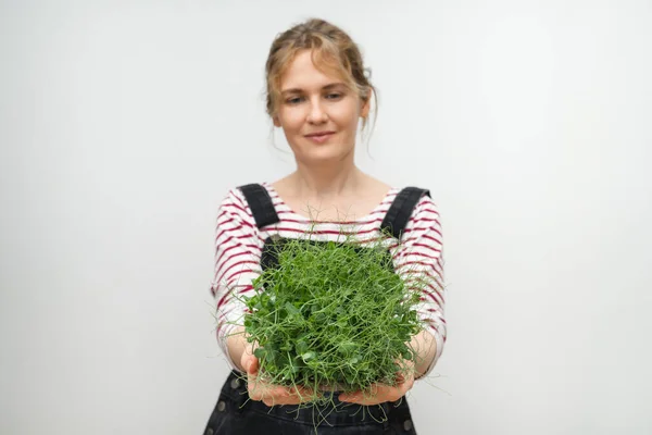 Una Mujer Sostiene Micro Verde Sus Manos Primer Plano — Foto de Stock