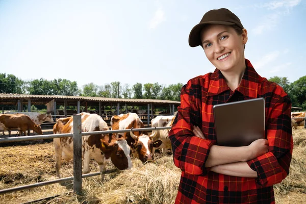 Woman farmer with tablet computer on a background of cows at a dairy farm. Herd management concept.