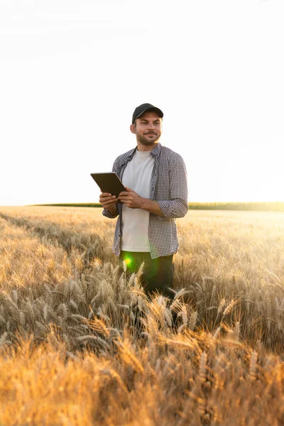 Agricultor Con Tableta Digital Campo Agrícola Agricultura Inteligente Agricultura Digital —  Fotos de Stock