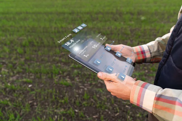 Farmář Digitálním Tabletem Zemědělském Poli Inteligentní Zemědělství Digitální Zemědělství — Stock fotografie