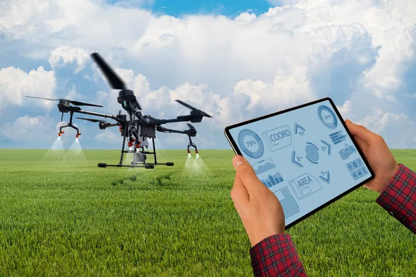 Farmer Egy Tablettával Irányítja Drónpermetezőt Intelligens Gazdálkodás Precíziós Mezőgazdaság — Stock Fotó