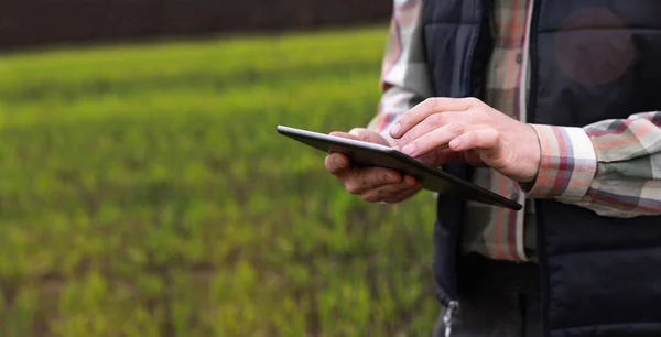 Rolnik Tabletem Cyfrowym Polu Rolniczym Inteligentne Rolnictwo Rolnictwo Cyfrowe — Zdjęcie stockowe
