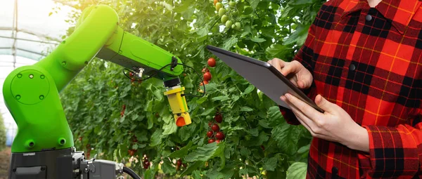 法默用平板电脑控制机械臂 农业中的智能化耕作和数字化改造 高质量的照片 — 图库照片