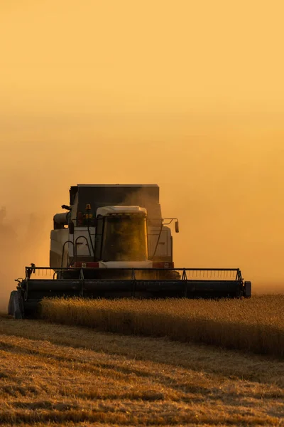 日没時に畑で収穫者を組み合わせます 高品質の写真 — ストック写真
