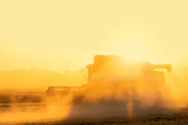 Σιλουέτα Του Συνδυάζουν Συγκομιδής Στα Σύννεφα Της Σκόνης Στο Πεδίο — Φωτογραφία Αρχείου
