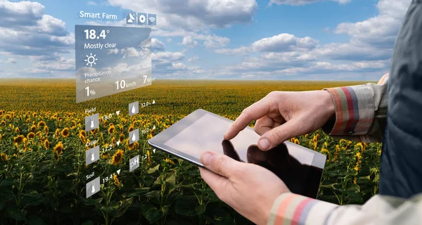Mezőgazdasági Területen Digitális Táblagéppel Rendelkező Mezőgazdasági Termelő Intelligens Gazdálkodás Digitális — Stock Fotó