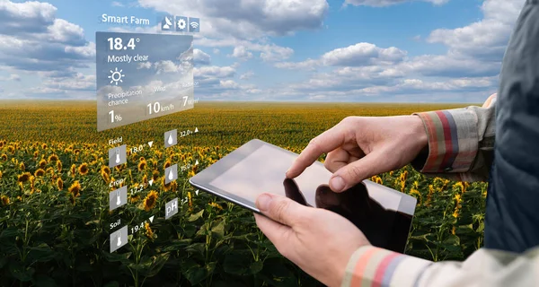 Фермер Цифровым Планшетом Сельскохозяйственном Поле Умное Сельское Хозяйство Цифровое Сельское — стоковое фото