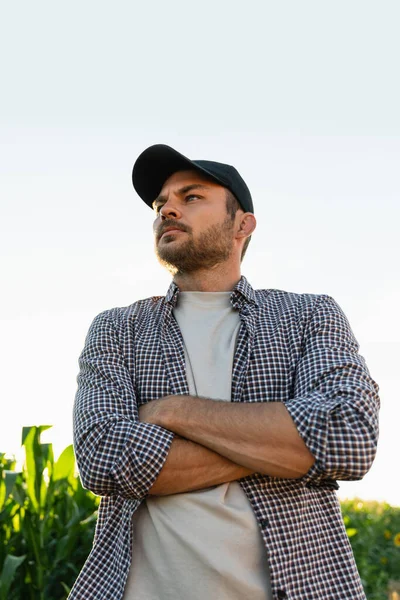 Agricoltore Barbuto Con Cappello Una Camicia Quadri Sullo Sfondo Campo — Foto Stock