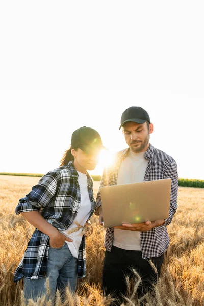 Kilku Rolników Bada Pole Zbóż Przesyła Dane Chmury Laptopa Inteligentne — Zdjęcie stockowe