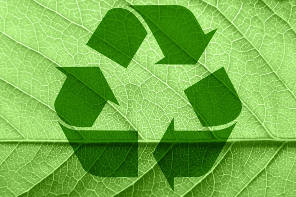Recycling Symbol Auf Einem Grünen Blatt Hochwertiges Foto — Stockfoto