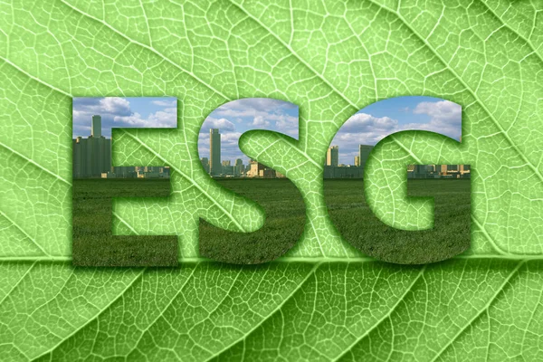 Έννοια Του Esg Περιβαλλοντικό Κοινωνικό Και Κυβερνητικό Πλαίσιο Υψηλής Ποιότητας — Φωτογραφία Αρχείου