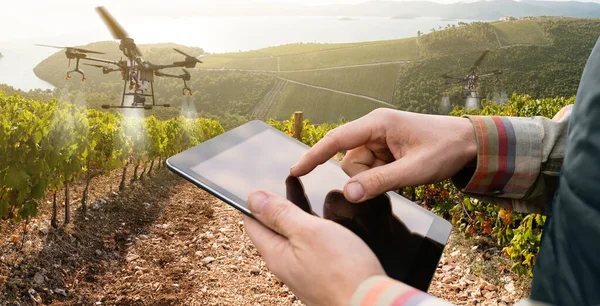 Farmer Egy Tablettával Irányítja Drónpermetezőt Intelligens Gazdálkodás Precíziós Mezőgazdaság Kiváló — Stock Fotó