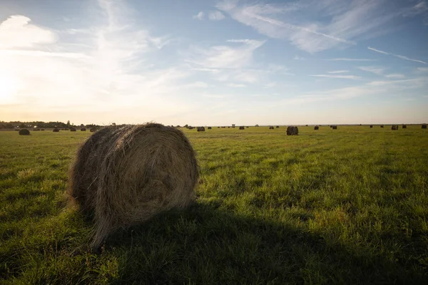 Hay Bales Field Sunset High Quality Photo — Stock Photo, Image