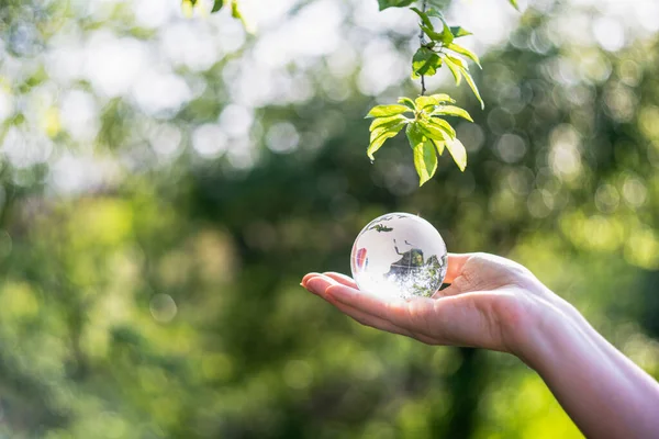Woman Holds Model Planet Earth Glass Symbol Sustainable Development Renewable — Stockfoto